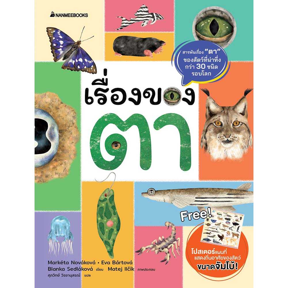 เรื่องของตา