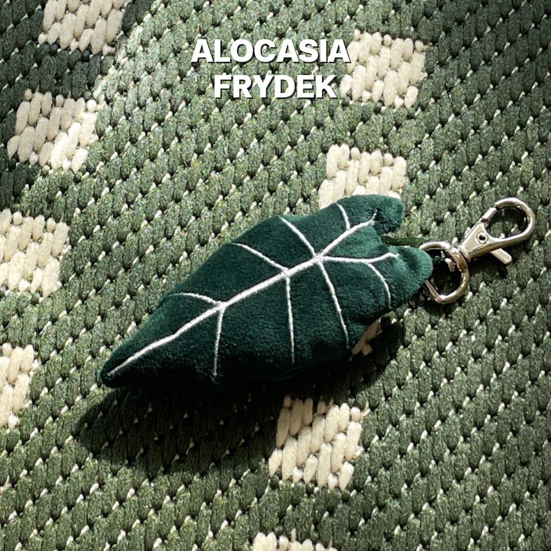 พวงกุญแจ ALOCASIA FRYDEK 