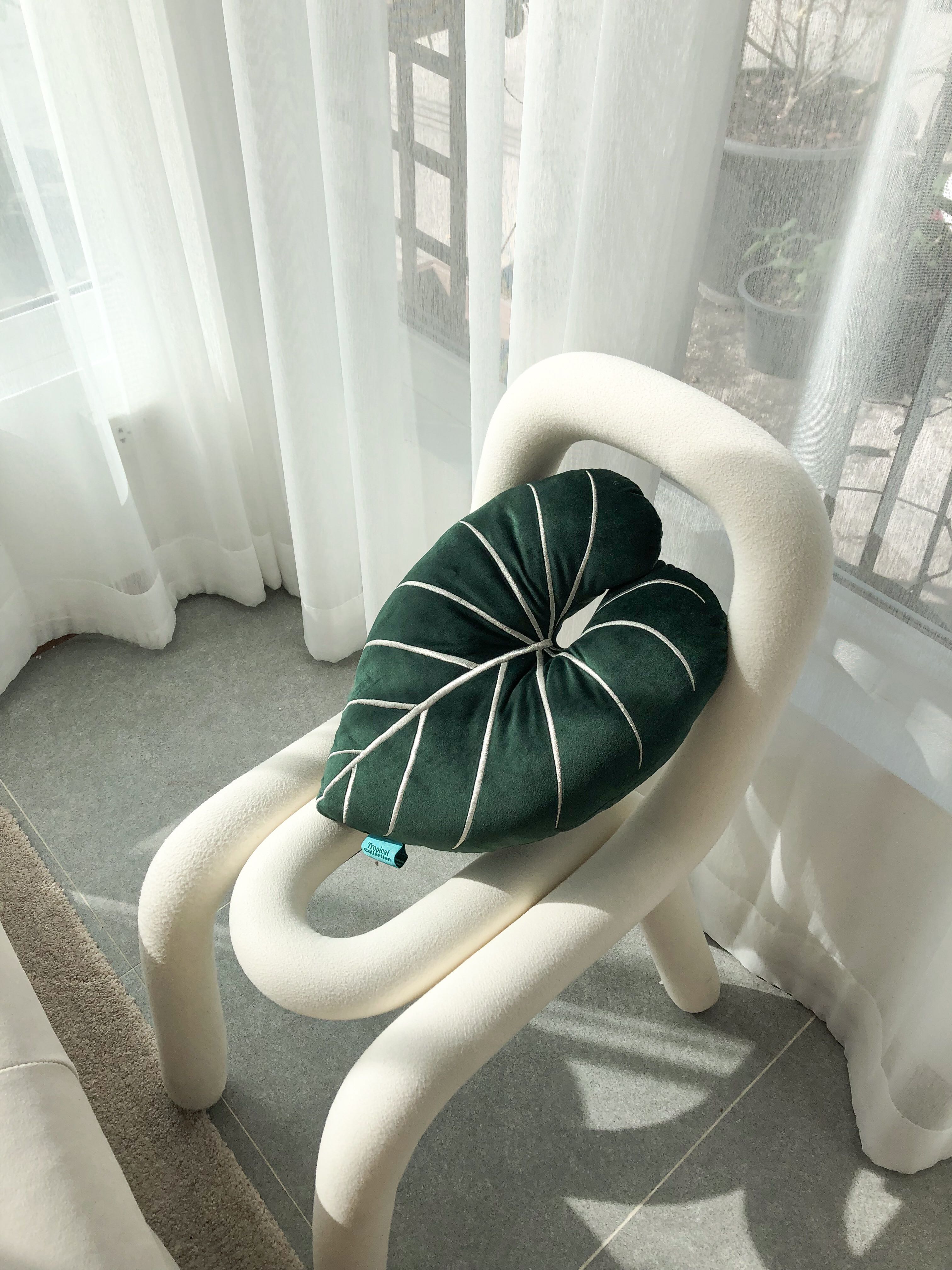 หมอนใบไม้ PHILODENDRON GLORIOSUM