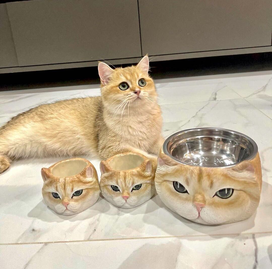 ชามข้าวแมว (สามารถสั่งเพ้นท์ได้ตามแบบ)