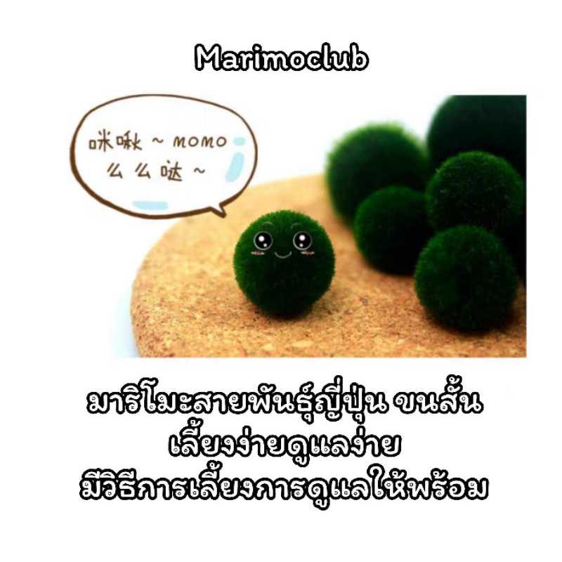 An Image