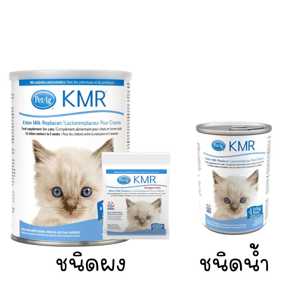 นมสำหรับลูกแมว KMR