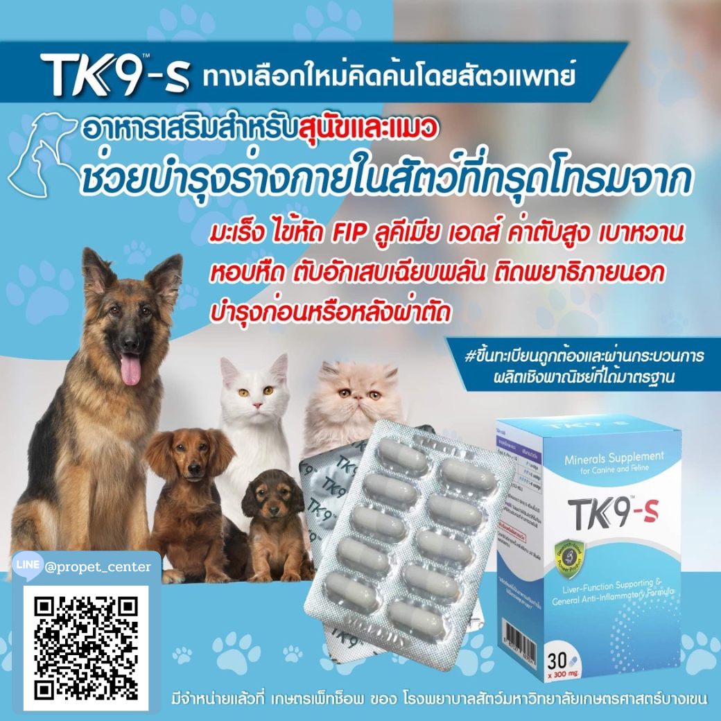 TK9-s อาหารเสริม สำหรับสัตว์ (ฟื้นฟูร่างกาย/อักเสบ/ตับ) ชนิดแคปซูล