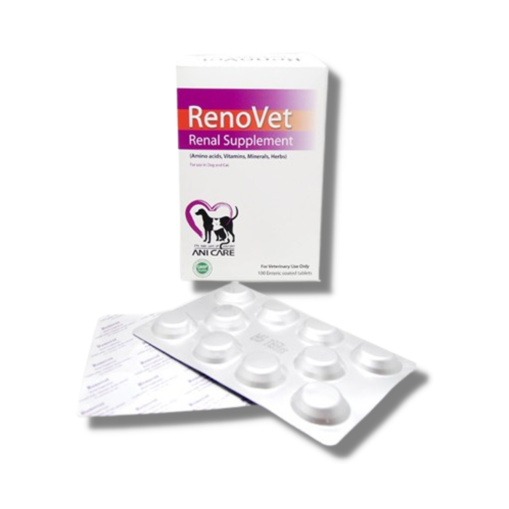 Renovet อาหารเสริมสำหรับสัตว์ (ไต) ชนิดเม็ดเคี้ยว