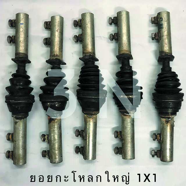 ยอยกะโหลกใหญ่1x1-CUT