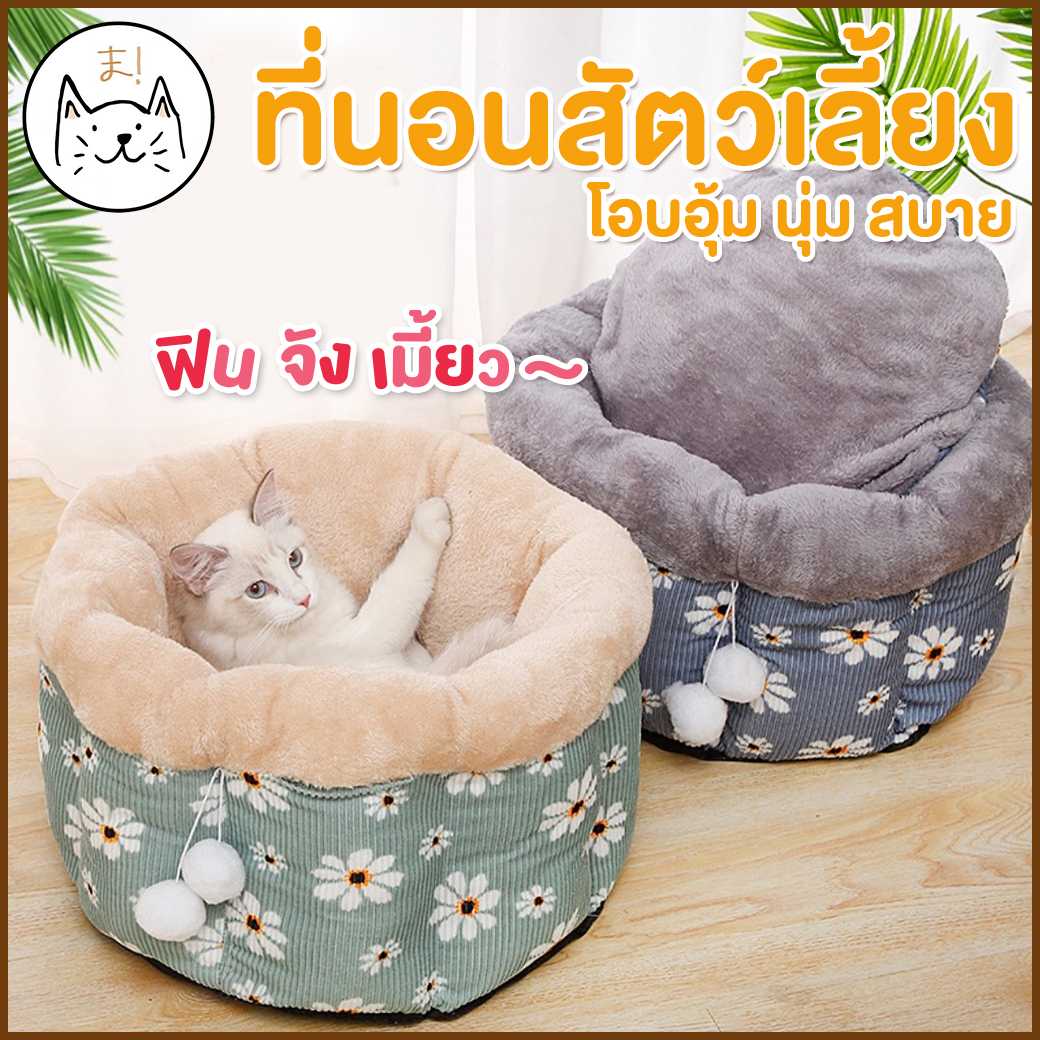 KUMA ま ถังนอน โอบอุ้ม นุ่ม สบาย