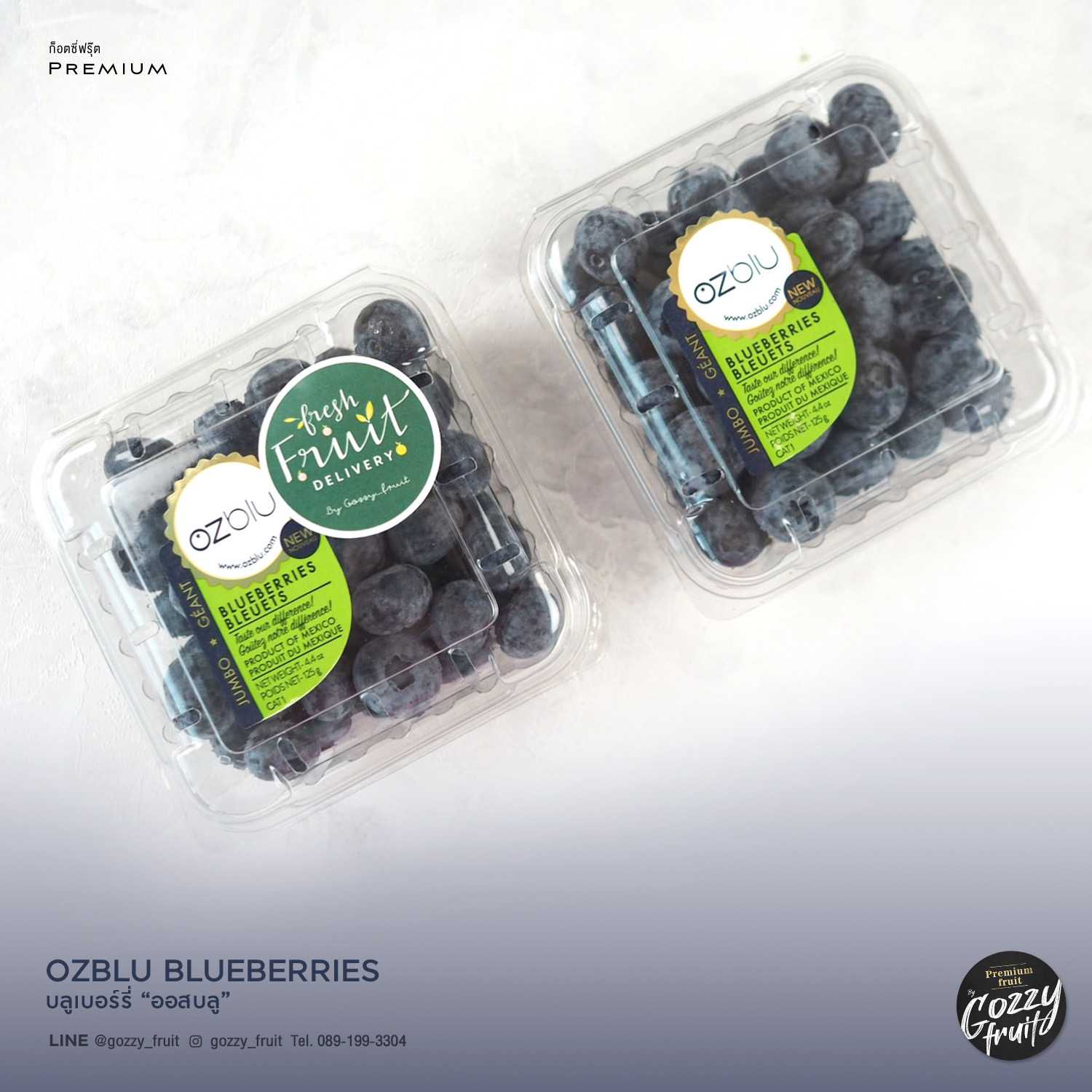 บลูเบอร์รี่ Ozblu จัมโบ้