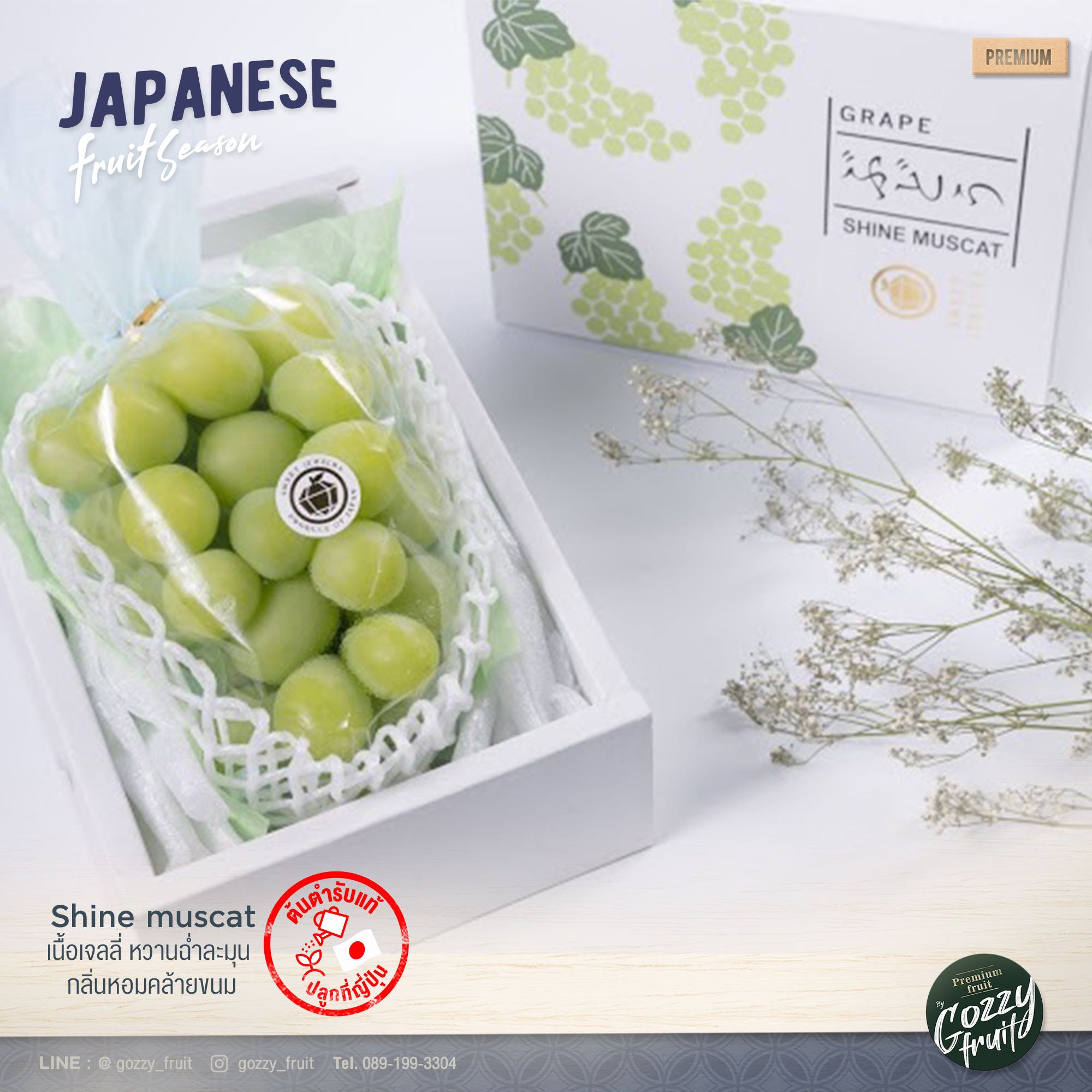 องุ่นญี่ปุ่นแท้ Shine muscat รุ่นพรีเมี่ยม Gift box ยอดนิยม