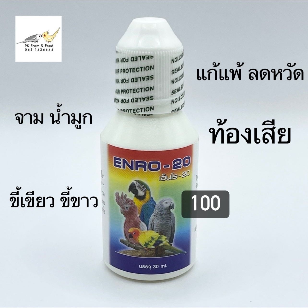 เอ็นโร-20 ยานก
