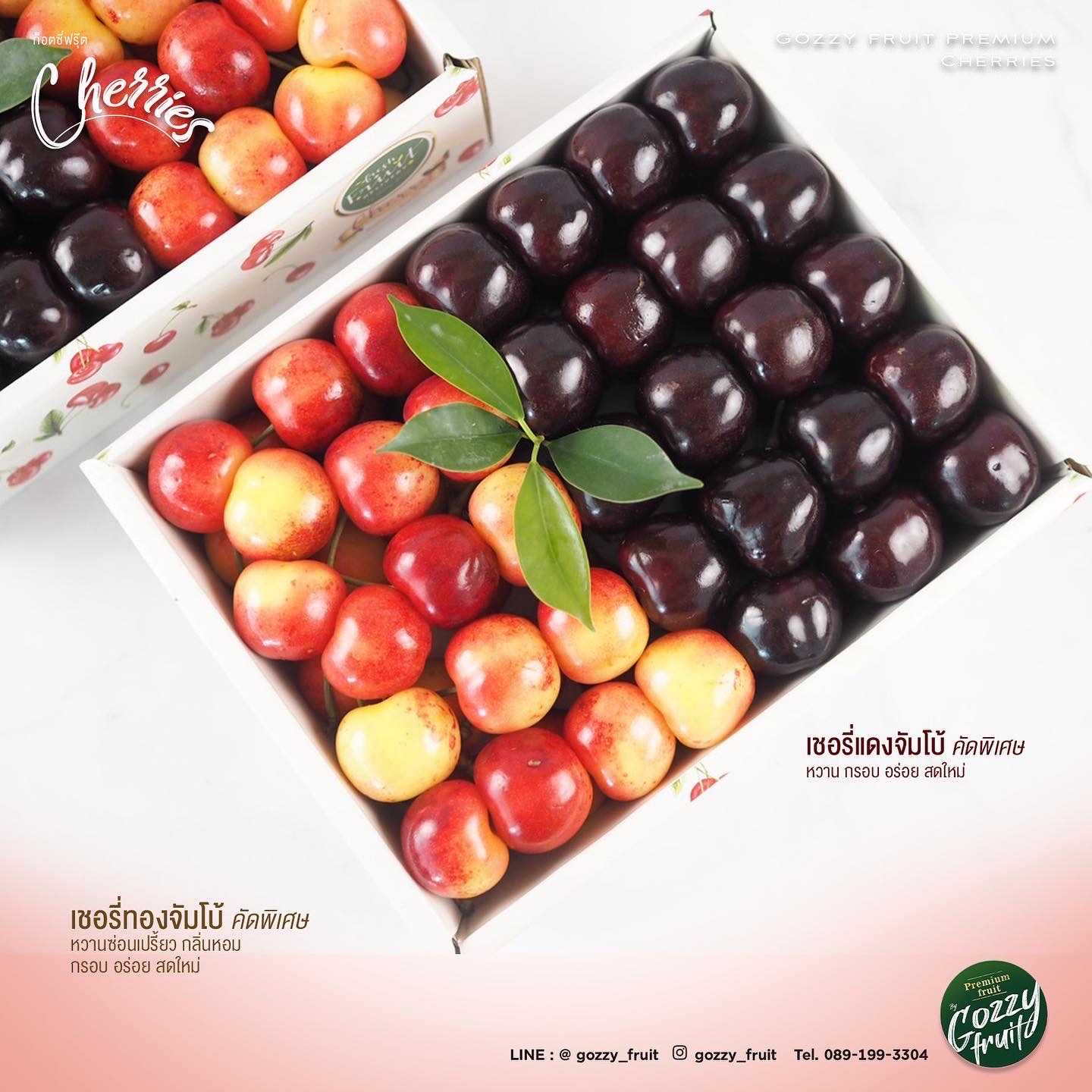 เชอร์รี่ 2 สี จัมโบ้ อเมริกา 