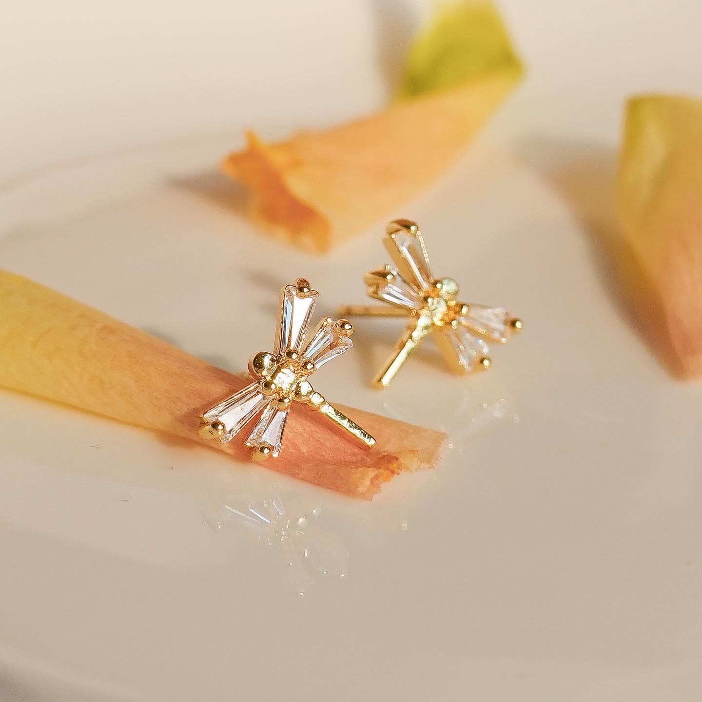 RD dragonfly inthegarden