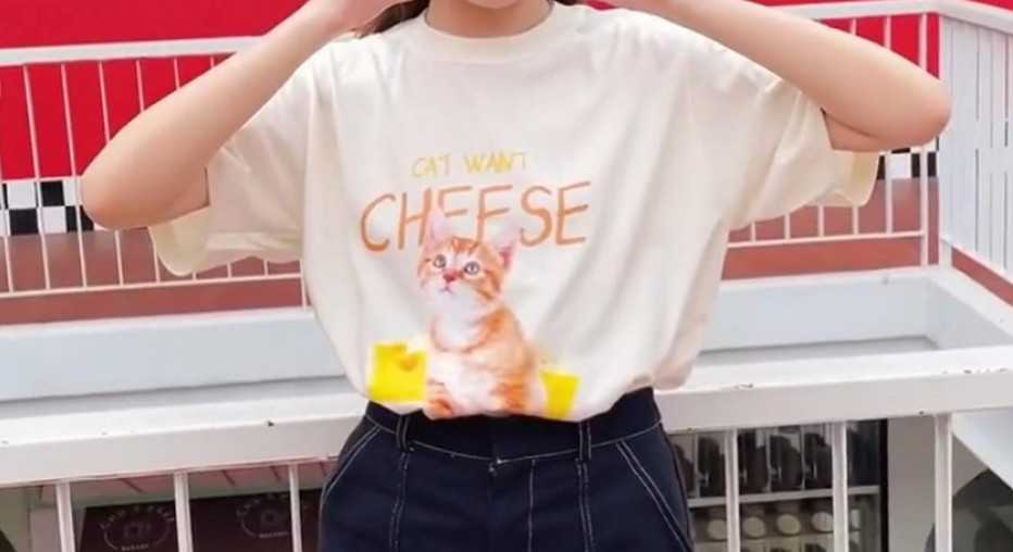 เสื้อยืด Cat want cheese 🧀 🐈 ร้าน @heyfriends_store