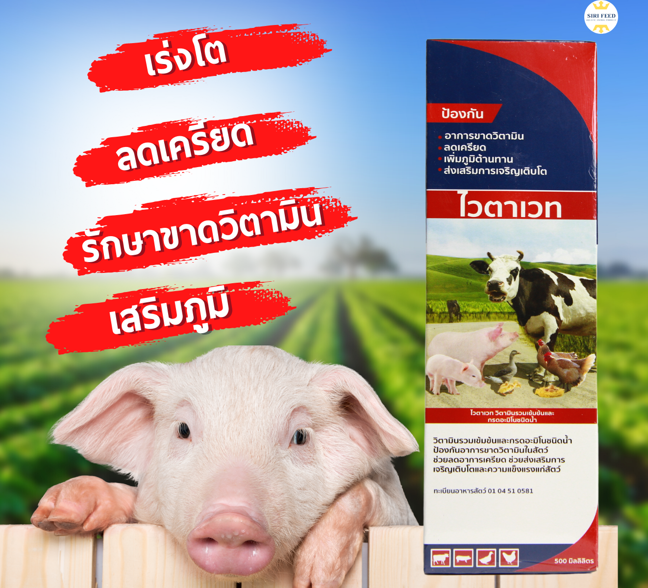 ไวตาเมท วิตามิน กรดอะมิโน สัตว์บก