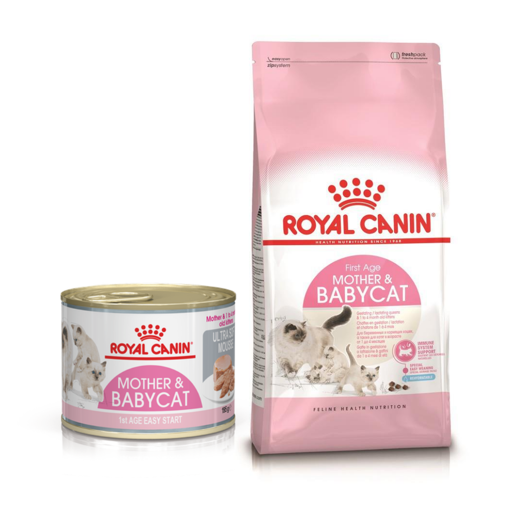 อาหารลูกแมวและแม่แมว Royal Canin Mother & Babycat