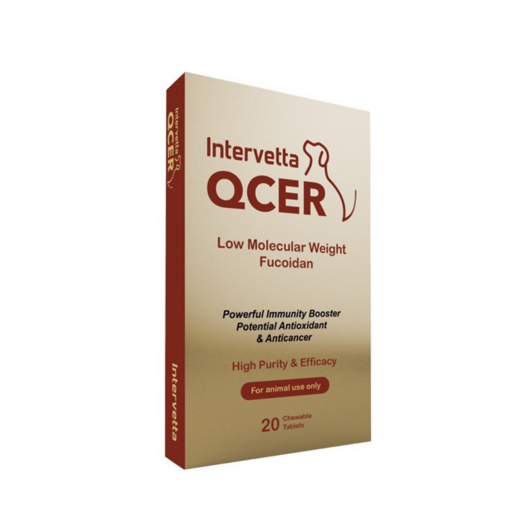 QCER อาหารเสริมสัตวป่วย (ภูมิคุ้มกัน/มะเร็ง/ไวรัส) สำหรับสุนัขและแมว ชนิดเม็ด