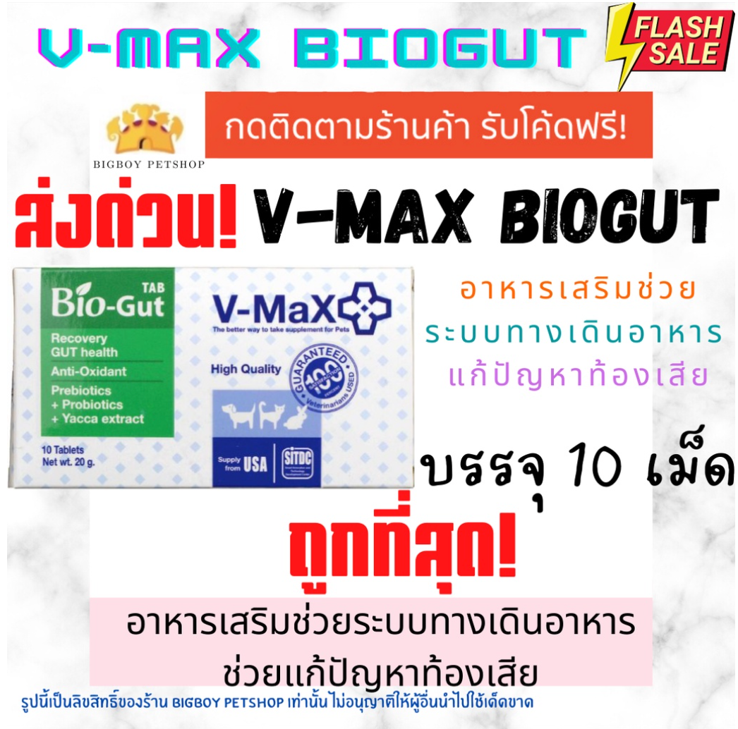 V-max Bio Gut ช่วยระบบทางเดินอาหาร ช่วยแก้ปัญหาท้องเสีย บรรจุ 10 เม็ด V max biogut