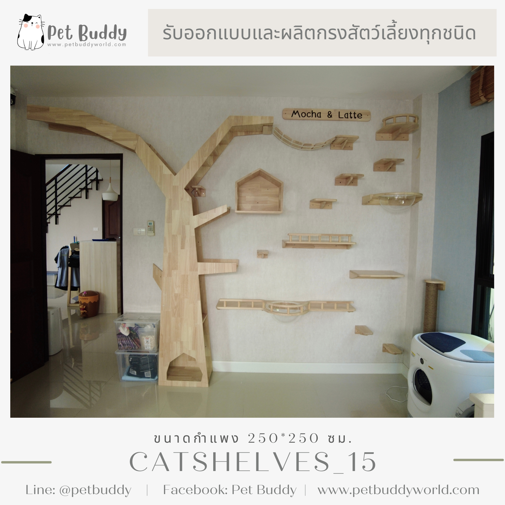 Catshelves_15 ชั้นแมวติดผนัง (แบบชุด)
