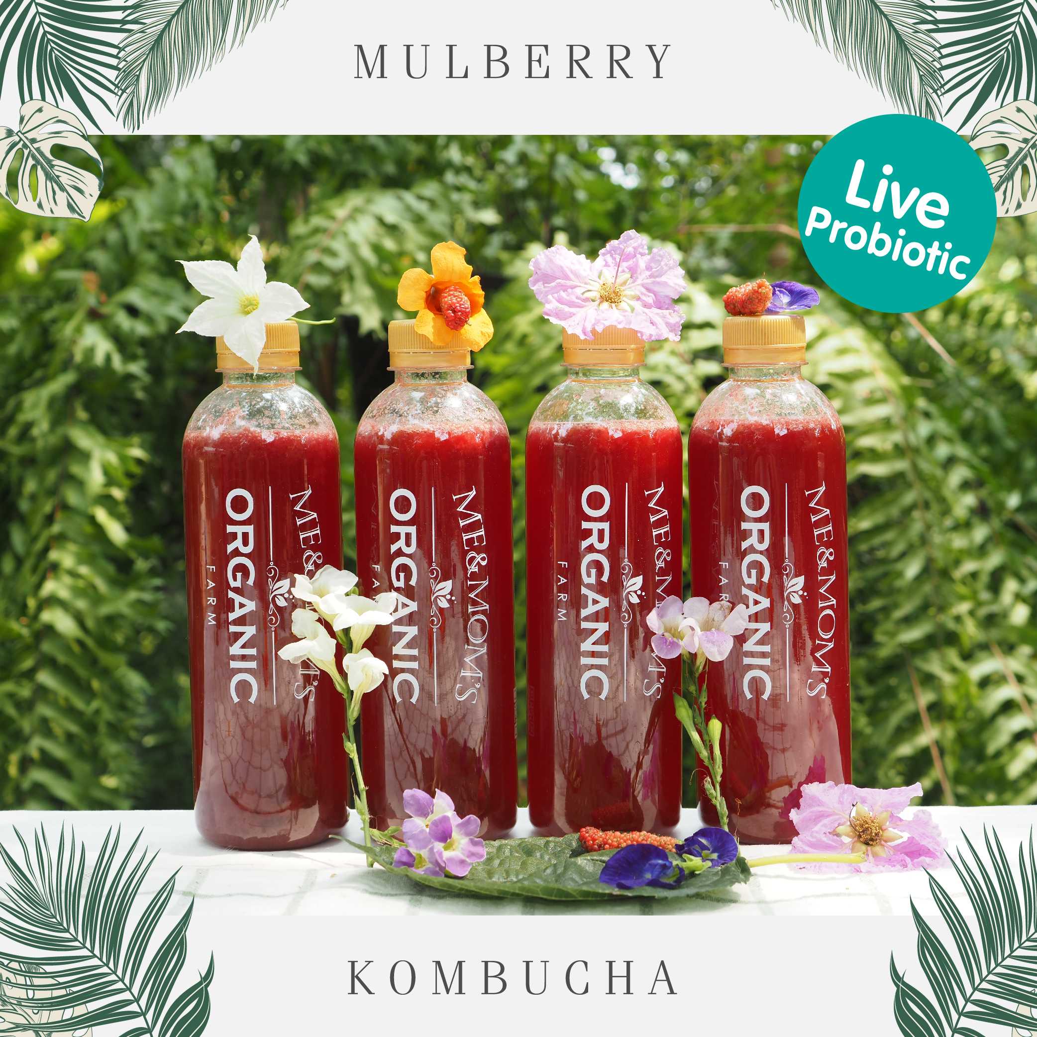 Mulberry kombucha