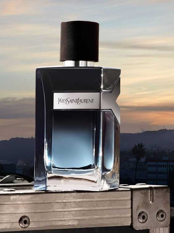 YSL Y EDP