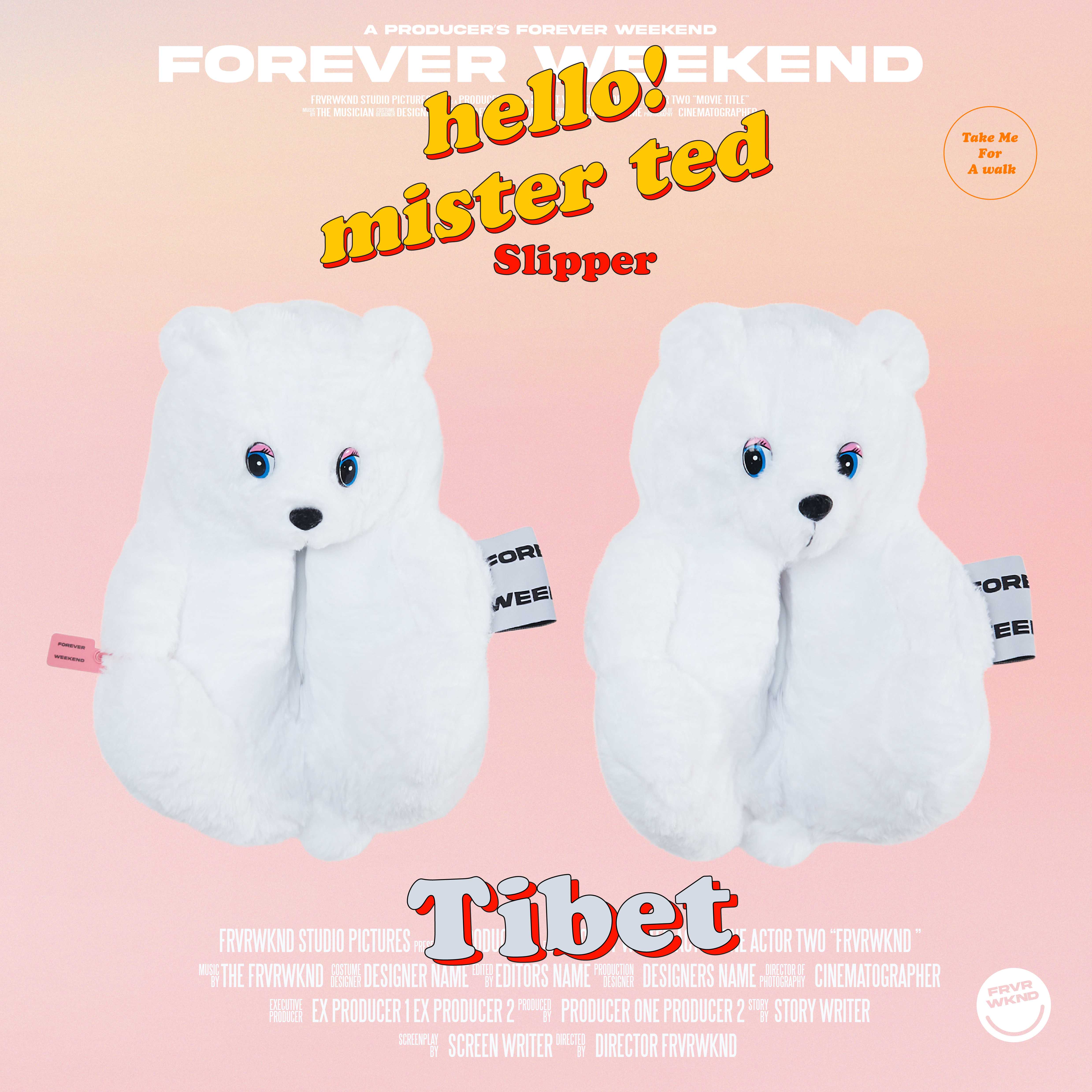 TIBET MISTER TED