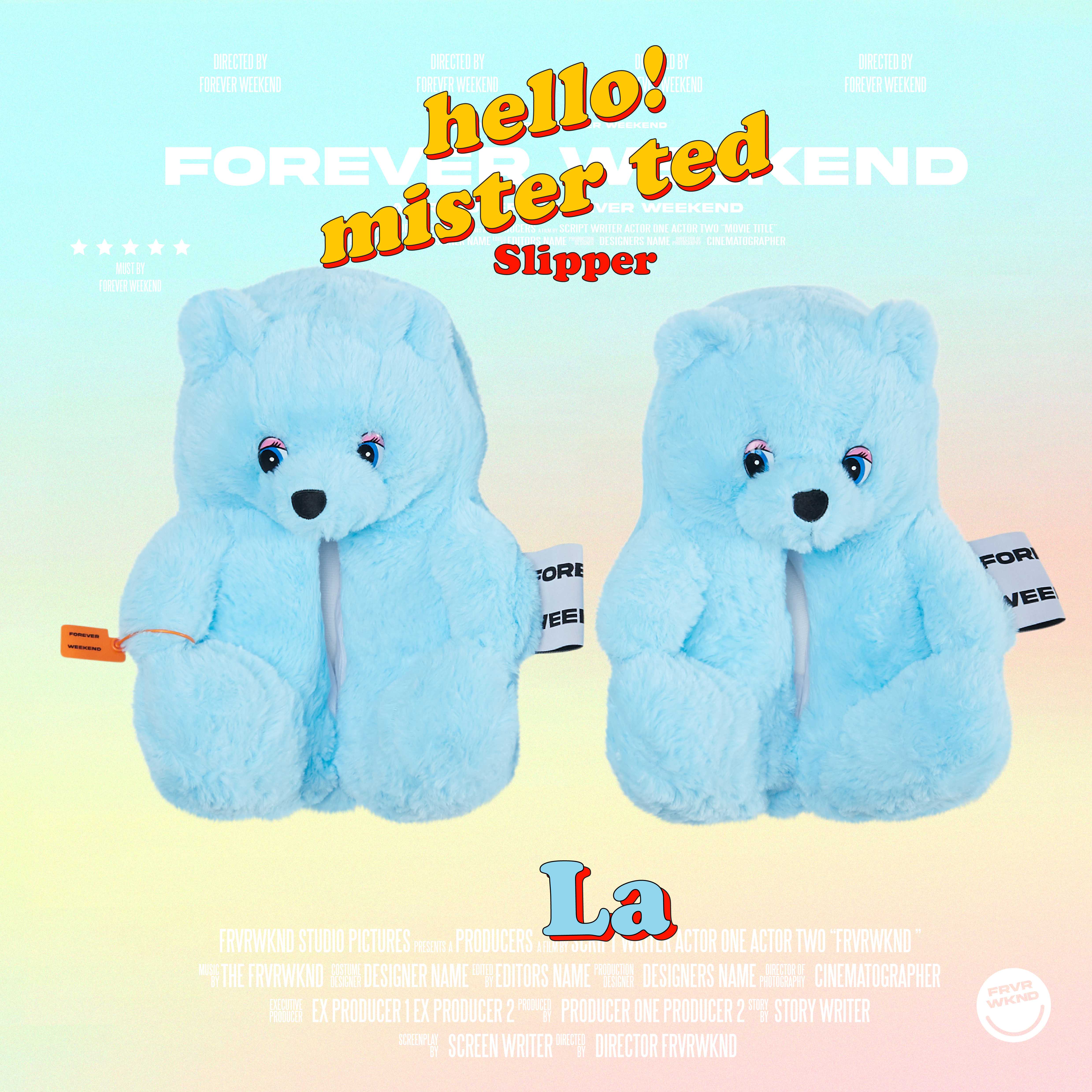 LA MISTER TED