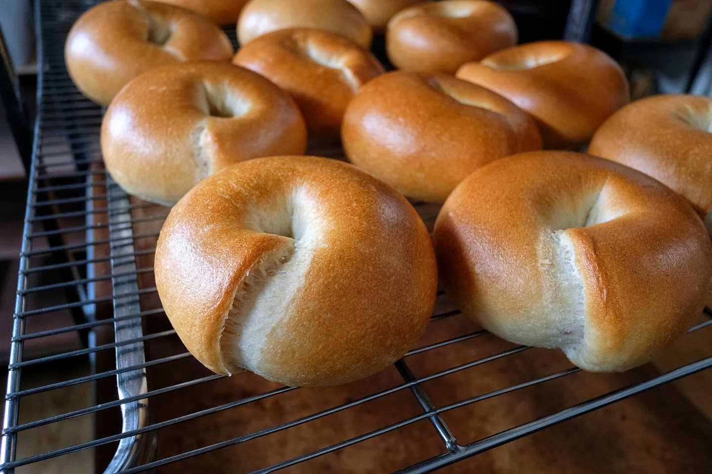 Plain bagel hybrid sourdough