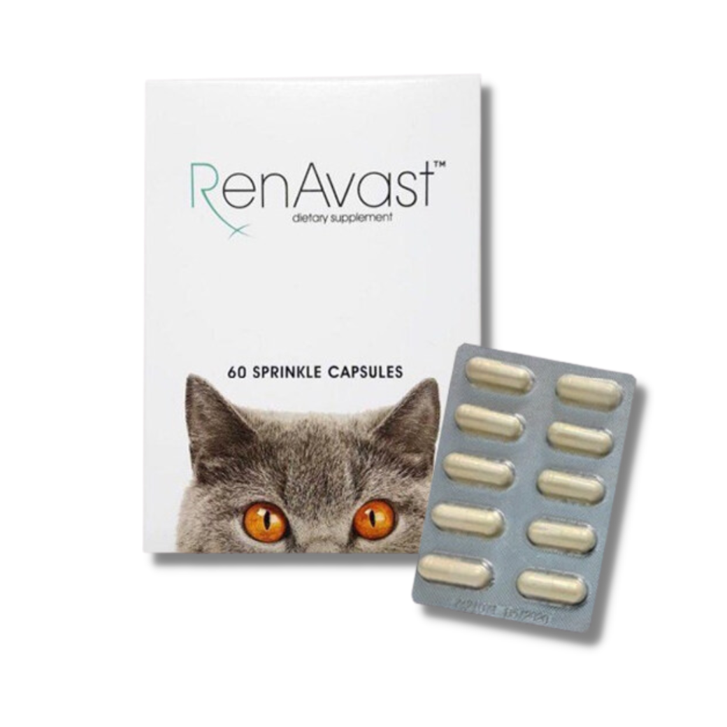 RenAvast for cat อาหารเสริม(ไต) สำหรับแมว ชนิดแคปซูล