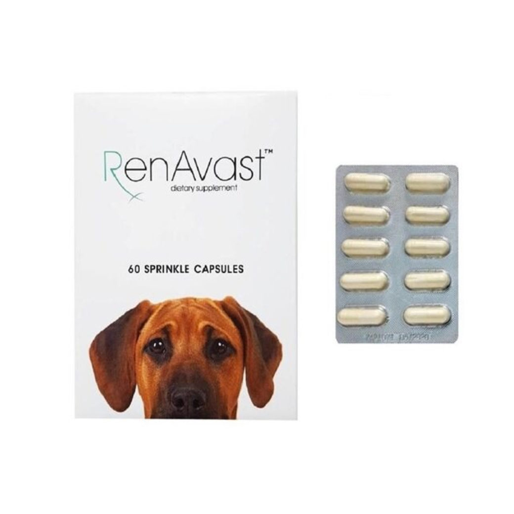 RenAvast for dog อาหารเสริม (ไต) สำหรับสุนัข ชนิดแคปซูล