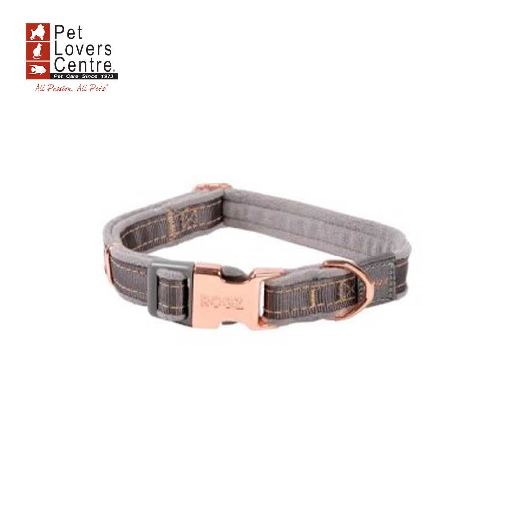 Rogz ปลอกคอสำหรับสุนัข รุ่น URBAN COLLAR ขนาด M