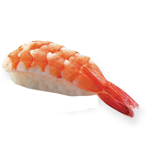 ซูชิกุ้ง
