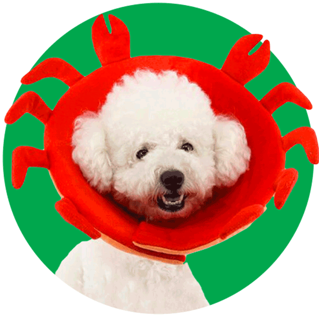 An Image