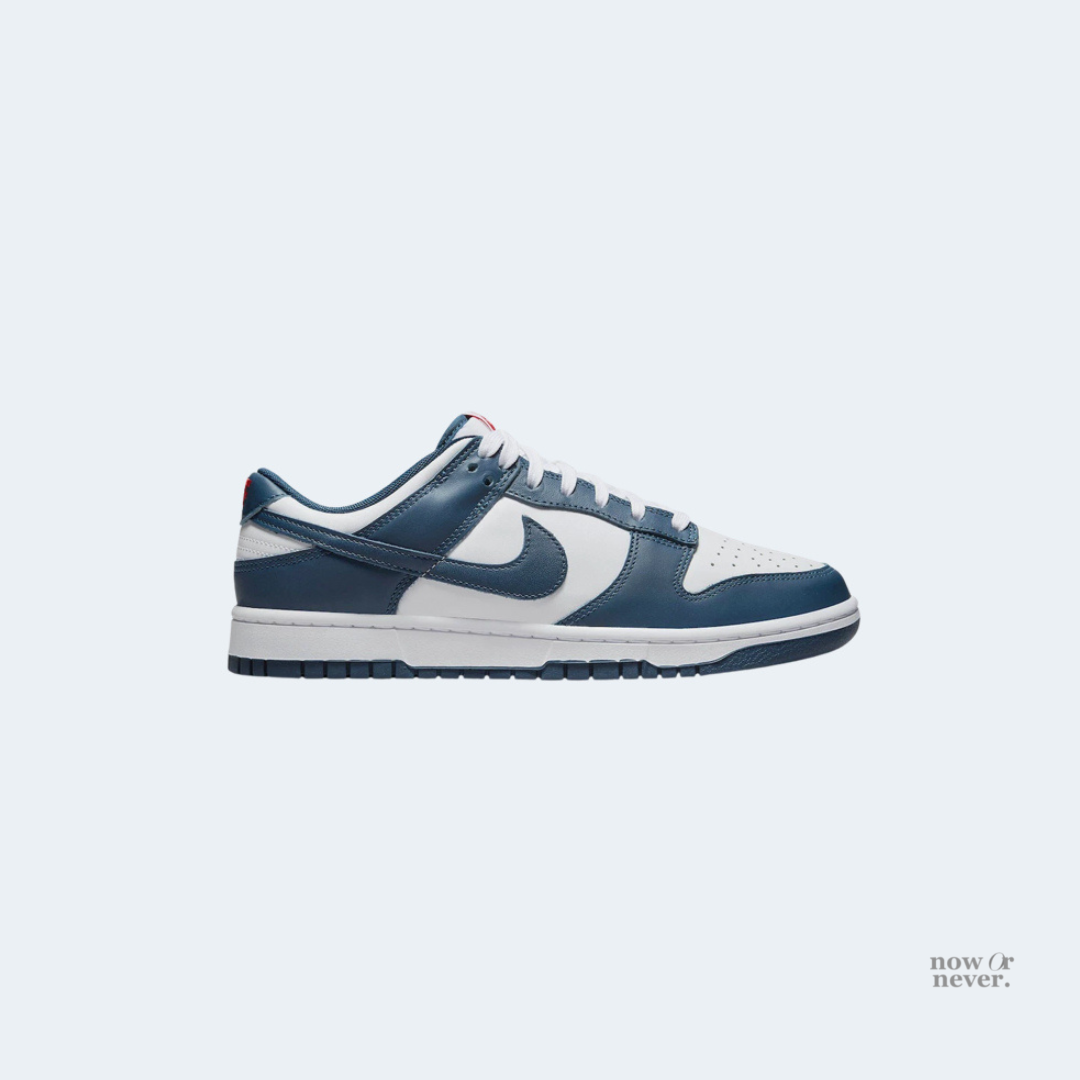 [PRE-ORDER] NIKE DUNK LOW RETRO VALERIAN BLUE