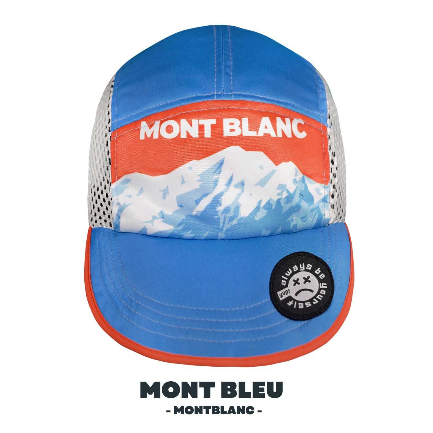Yup! Mont Blanc ---Mont Bleu---