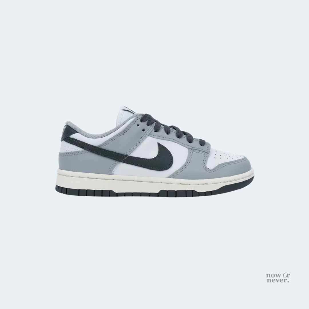 [PRE-ORDER] NIKE DUNK LOW LIGHT SMOKE GREY (W)