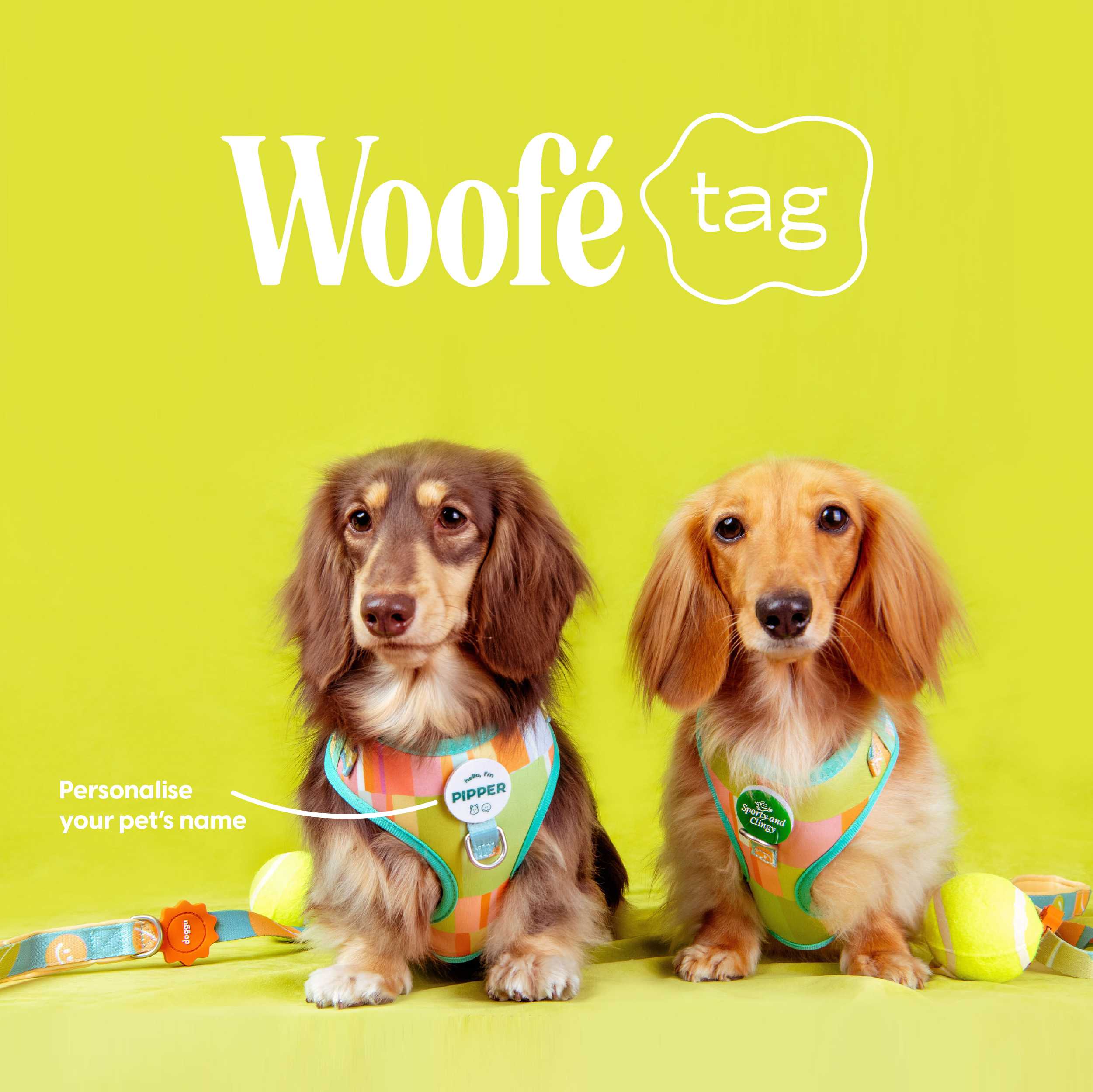 PERSONALISE Woofé Tag : for DOGGU HARNESS