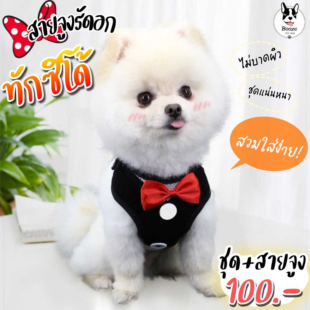 สายจูงรัดอก สายจูงสุนัข เชือกจูงแมว แบบทักซิโด้ สวมใส่ง่าย