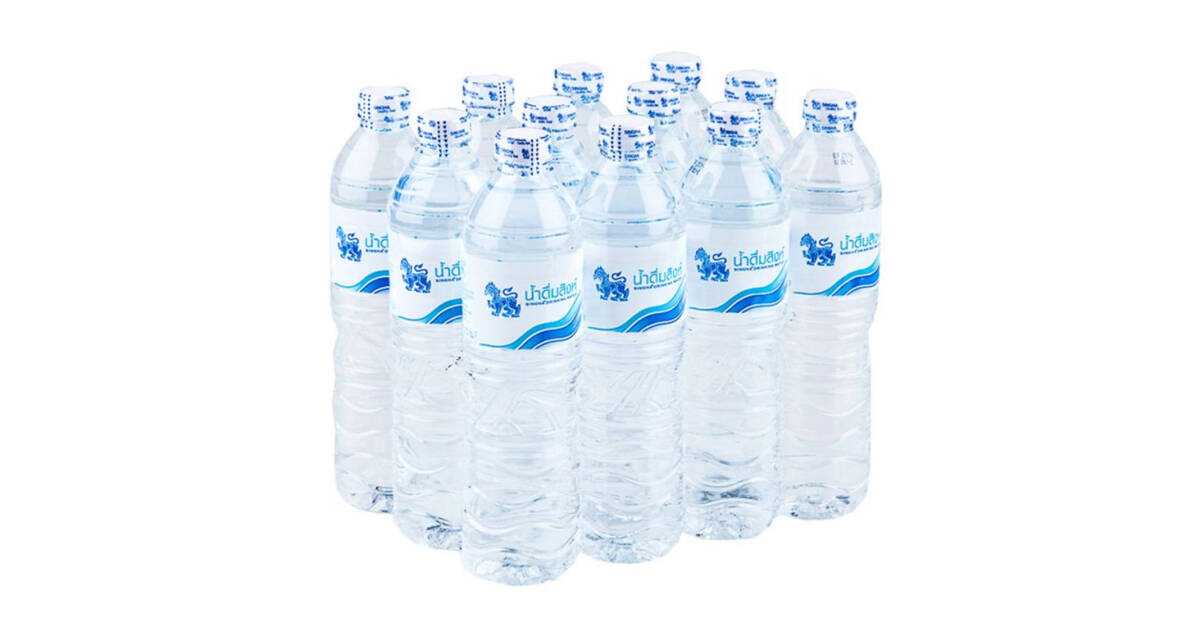 น้ำดื่มสิงห์ 600 มล. แพ็ค 12 ขวด