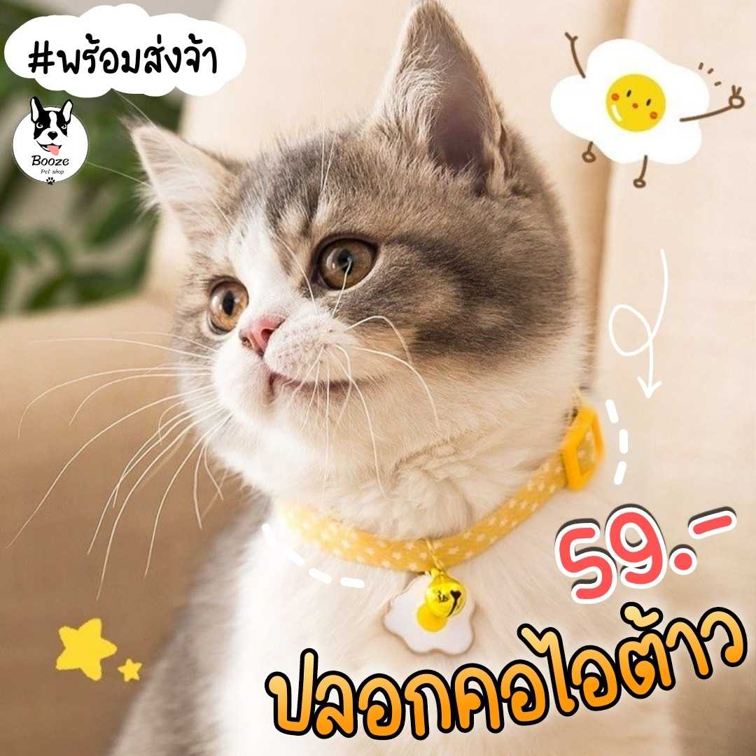 ปลอกคอแมว ปลอกคอสุนัข ลายน่ารัก ตัวล็อครูปแมว สร้อยคอสัตว์เลี้ยง