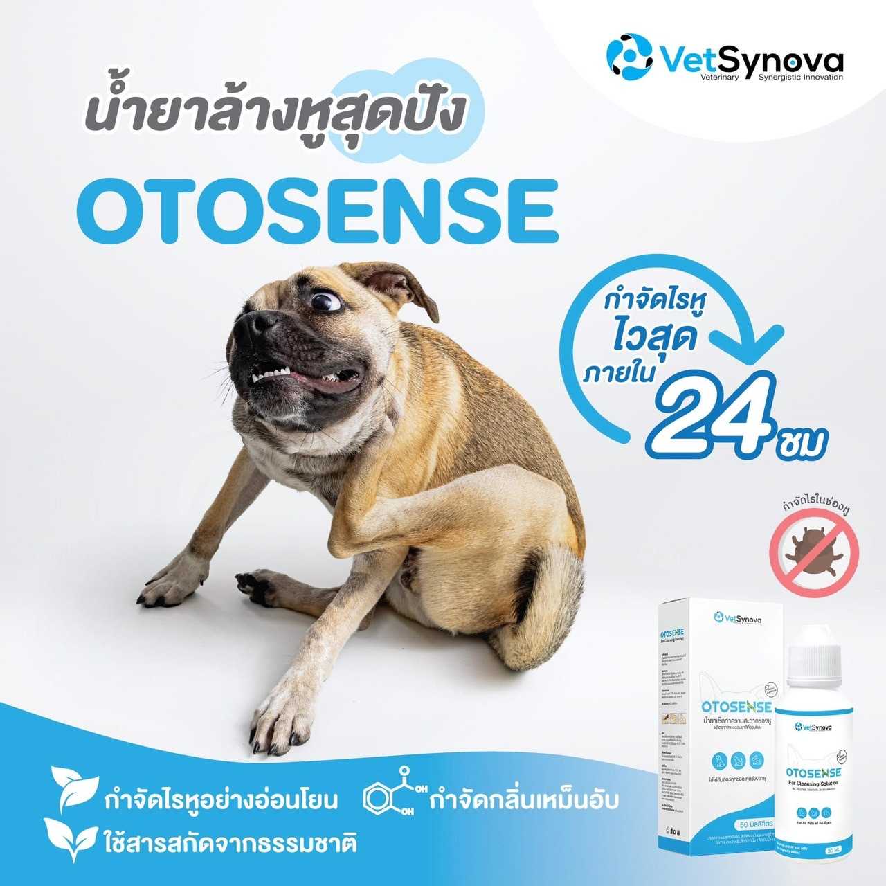 Otosense ผลิตภัณฑ์ทำความสะอาดหู (ไรในหู)