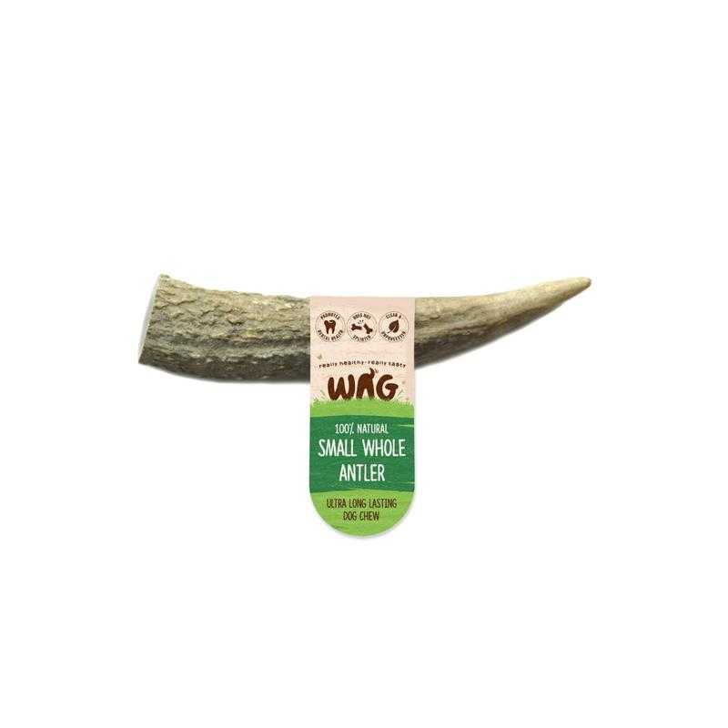 Whole SMALL Antler