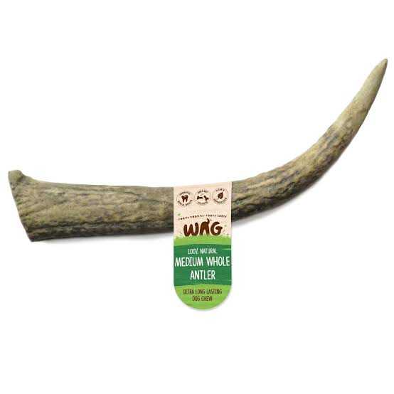 Whole MEDIUM Antler