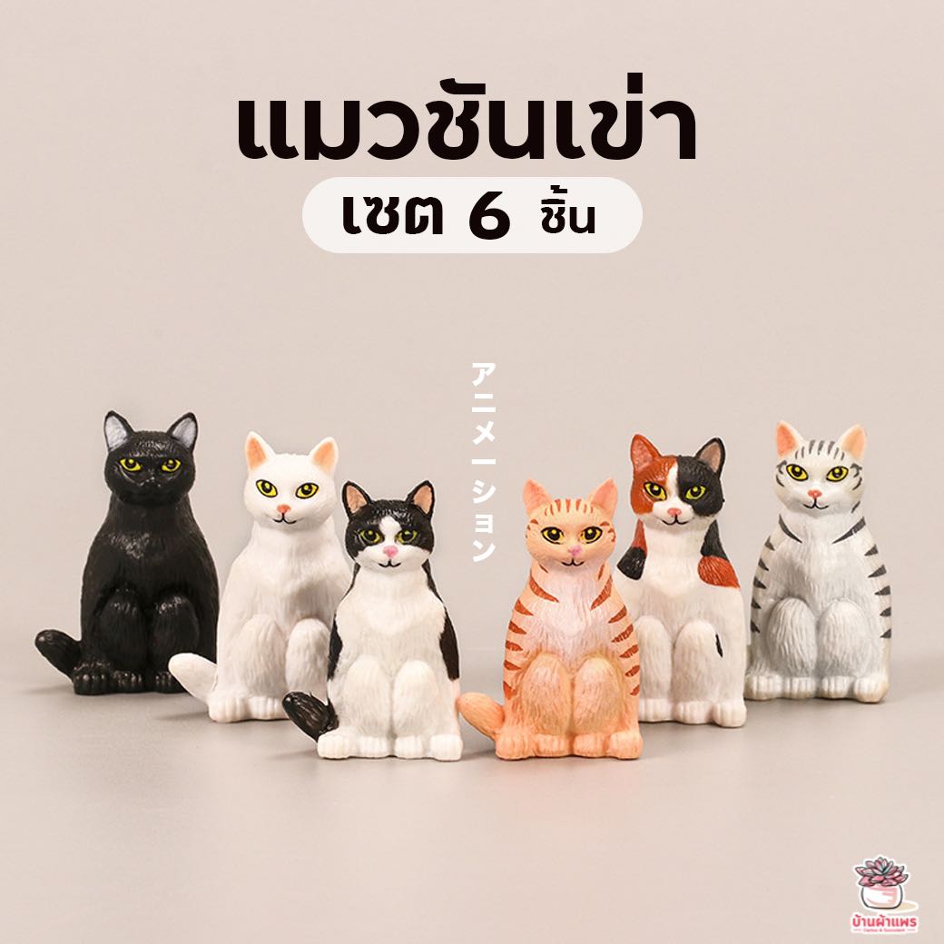 แมวชันเข่า เซต 6 ชิ้น ตุ๊กตาจิ๋ว โมเดลจิ๋ว แต่งสวน