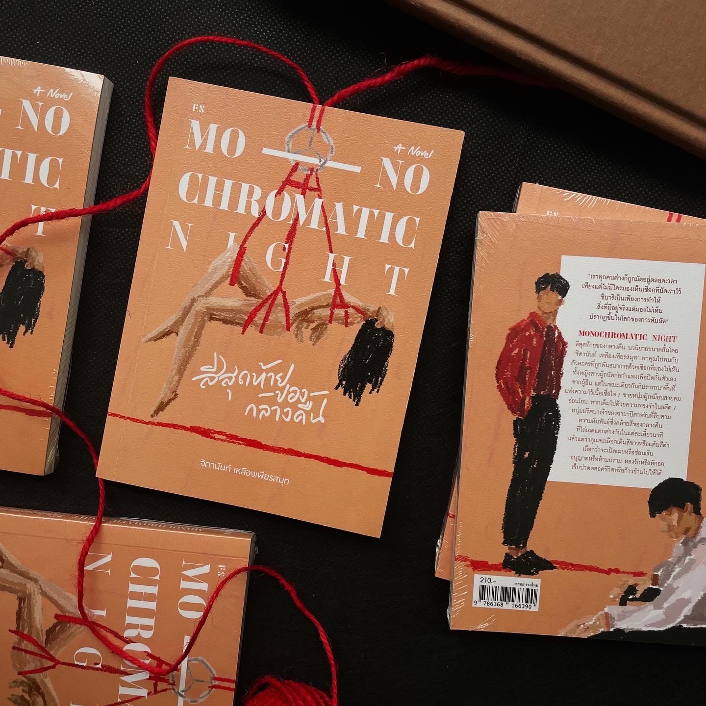  หนังสือ Monochromatic Night สีสุดท้ายของกลางคืน : จิดานันท์ เหลืองเพียรสมุท