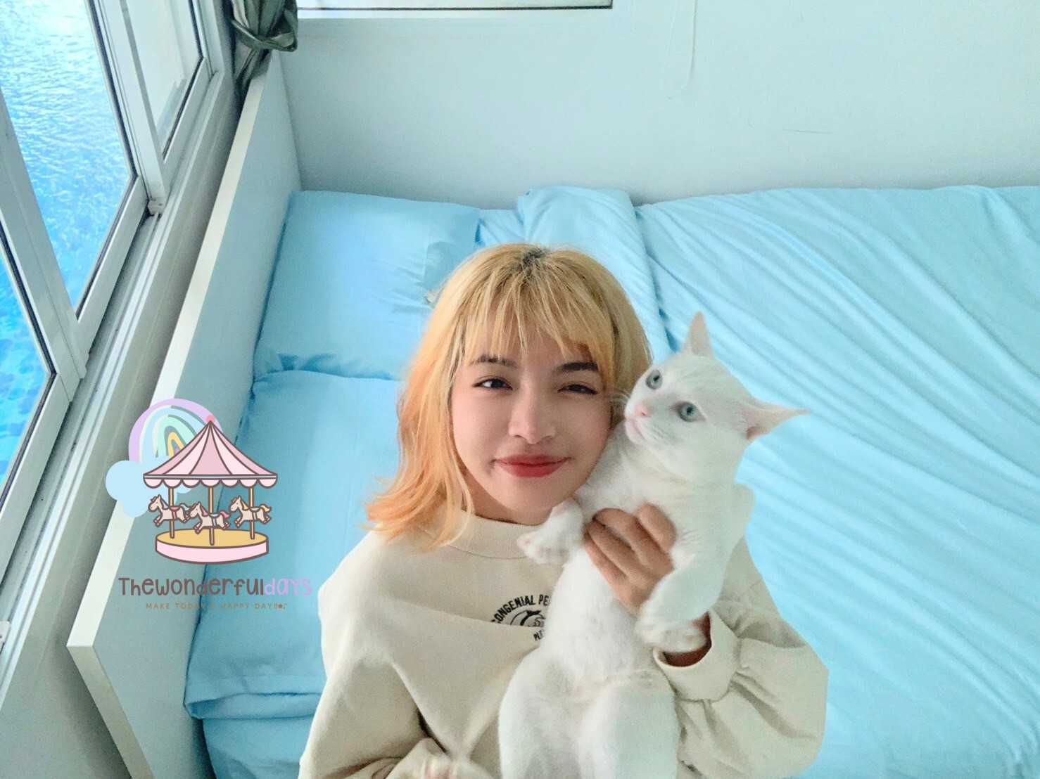 🎯1ชิ้น-ผ้าปูที่นอนโรงแรม6ดาว Cotton Silkทอละเอียด500เส้นด้าย กันไรฝุ่น สัมผัสนุ่มลื่นเย็นสบายพิเศษ