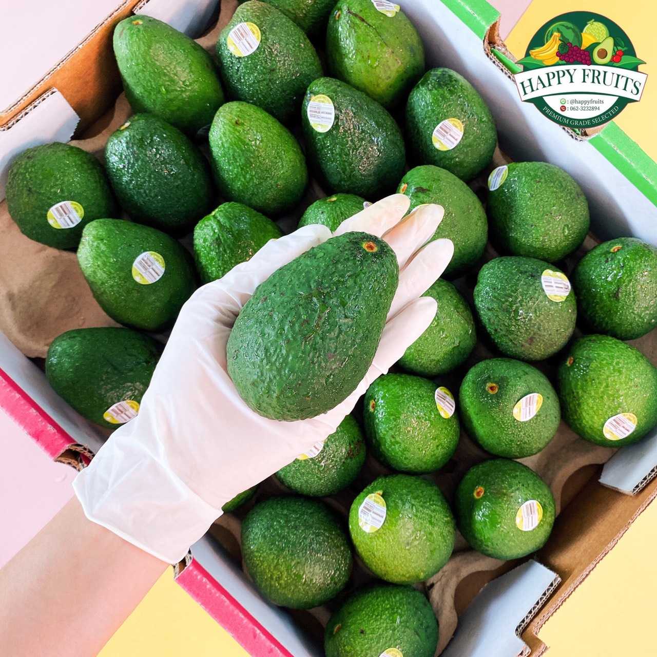 อะโวคาโด Hass ออสเตรเลีย (ยกลัง 28-30ลูก)