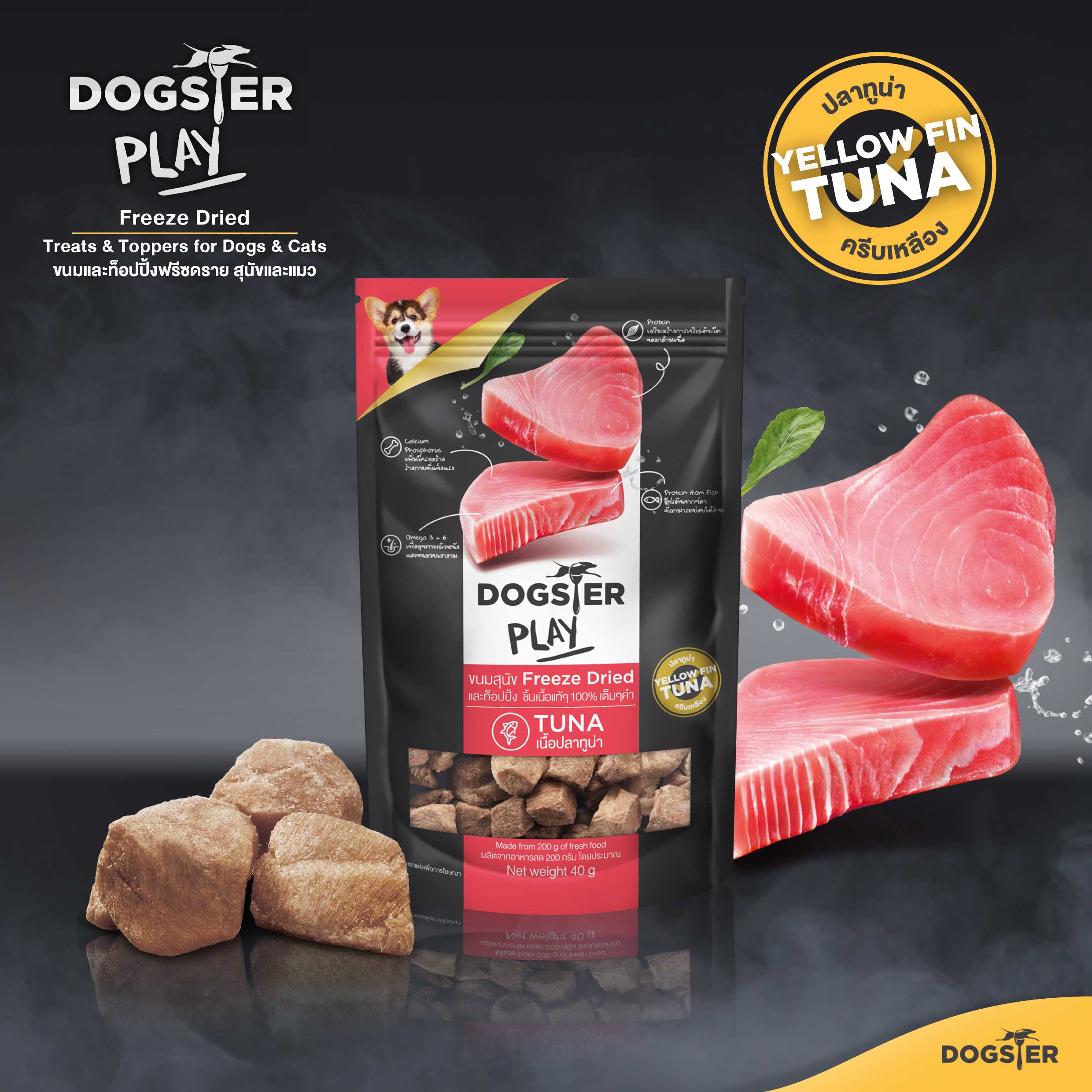 Dogster Play Tuna formula