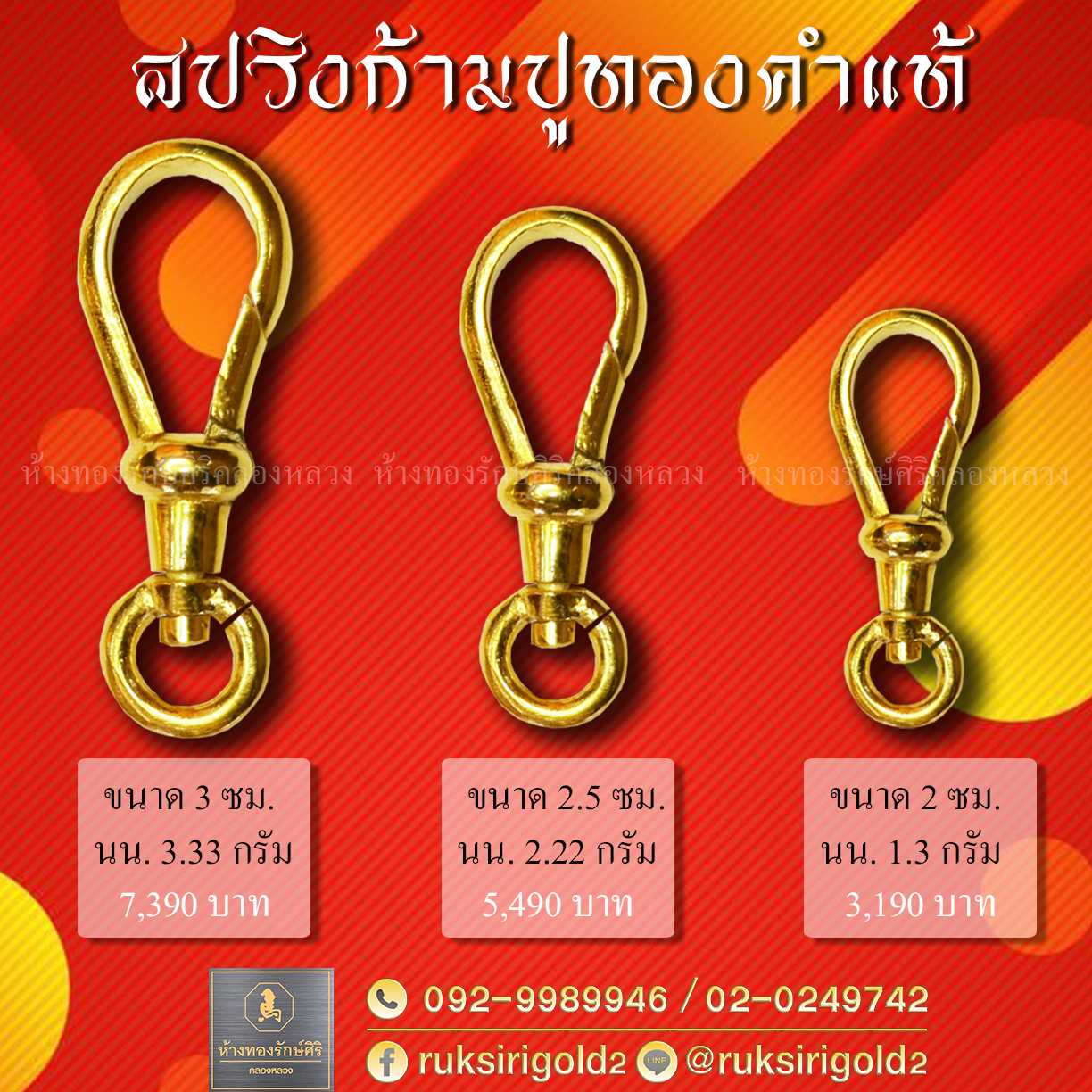 สปริงก้ามปูทองคำ