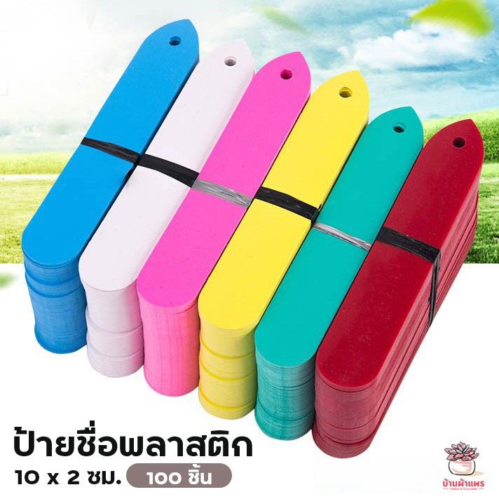 ป้ายชื่อพลาสติก #มีรูสำหรับห้อย ป้ายชื่อต้นไม้ขนาด 10 x 2 ซม. (100 ชิ้น)