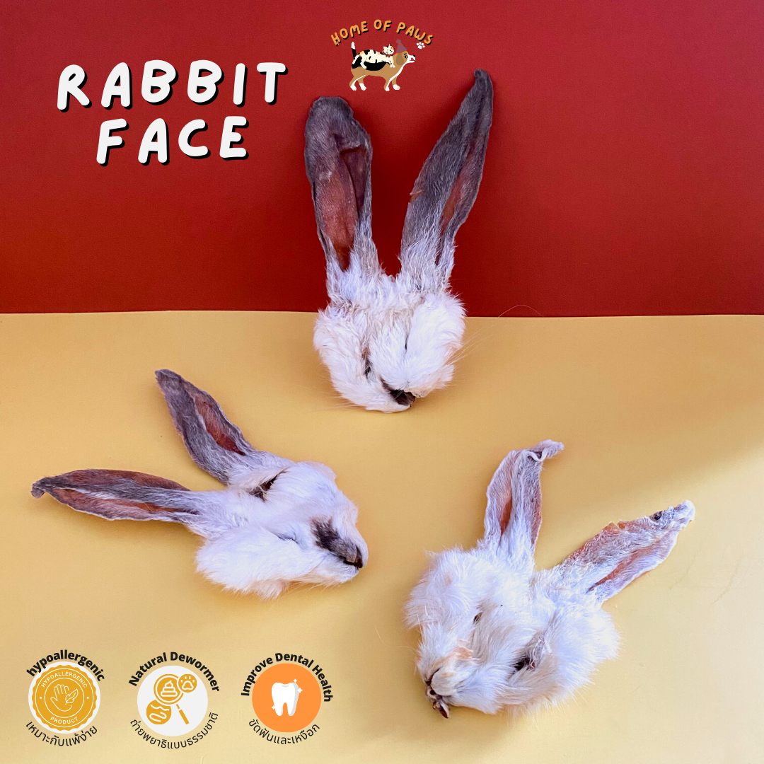 RABBIT FACE with ears