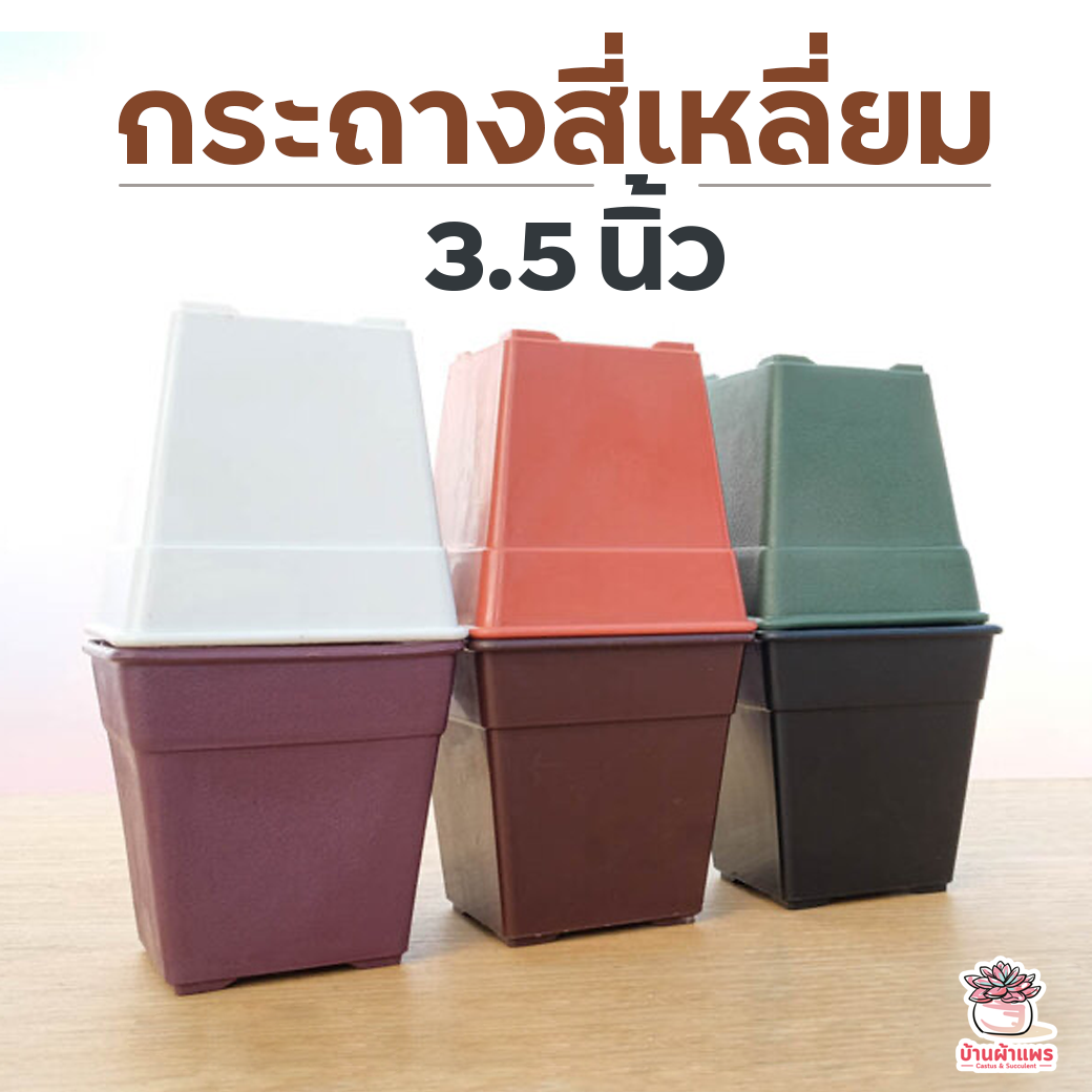 กระถางสี่เหลี่ยม 3.5 นิ้ว กระถางพลาสติก กระถางแคคตัส กระถางกระบองเพชร